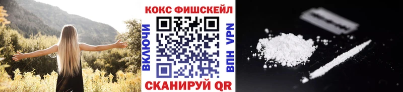 Купить закладки  Данилов  COCAIN Fish Scale 