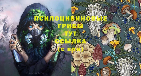 прущие грибы Красноперекопск