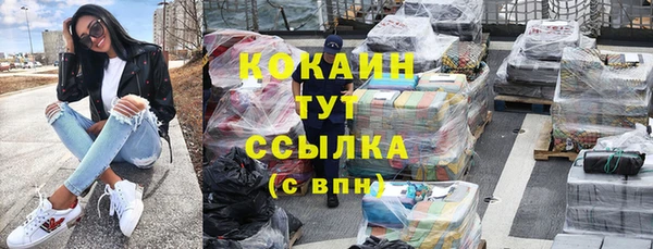 прущие грибы Красноперекопск