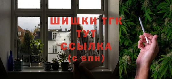 прущие грибы Красноперекопск