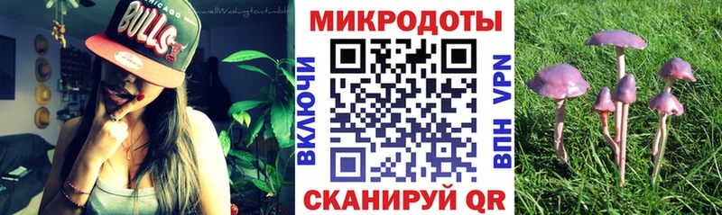 Купить  Данилов  Галлюциногенные грибы MAGIC MUSHROOMS 